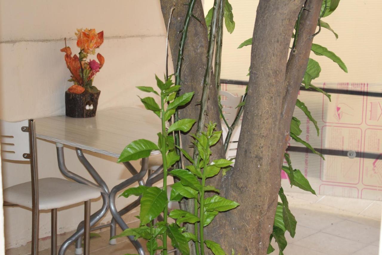 Carvan Hotel Istanbul Luaran gambar